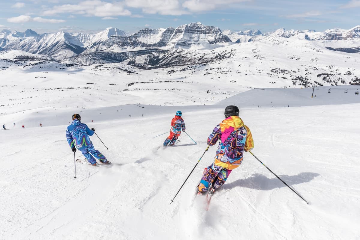 Glacier Carve Skis product photo